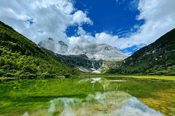 深圳文丰装饰 深圳文丰装饰